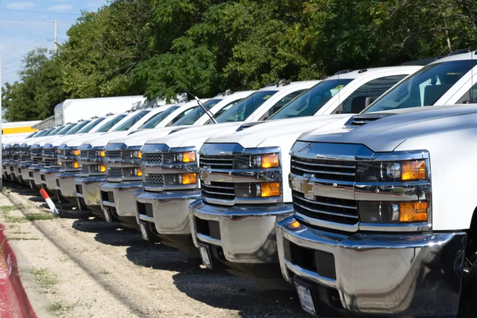A row of white pickup trucks at a car dealership.